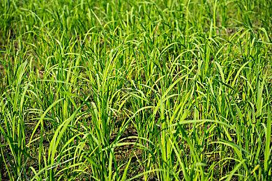 《了不起的修仙模拟器》新史低促销 仅售61.60元